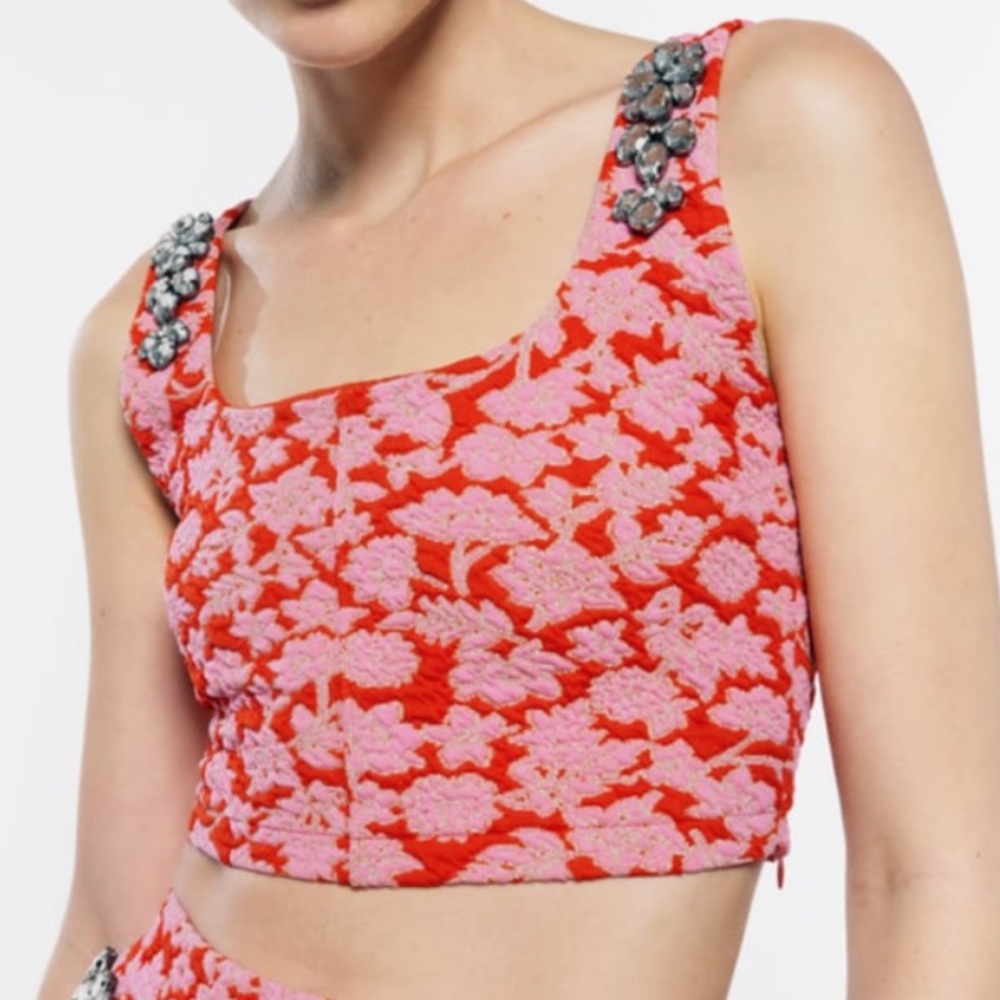 NWT Zara embellished Pink red pebble crop top